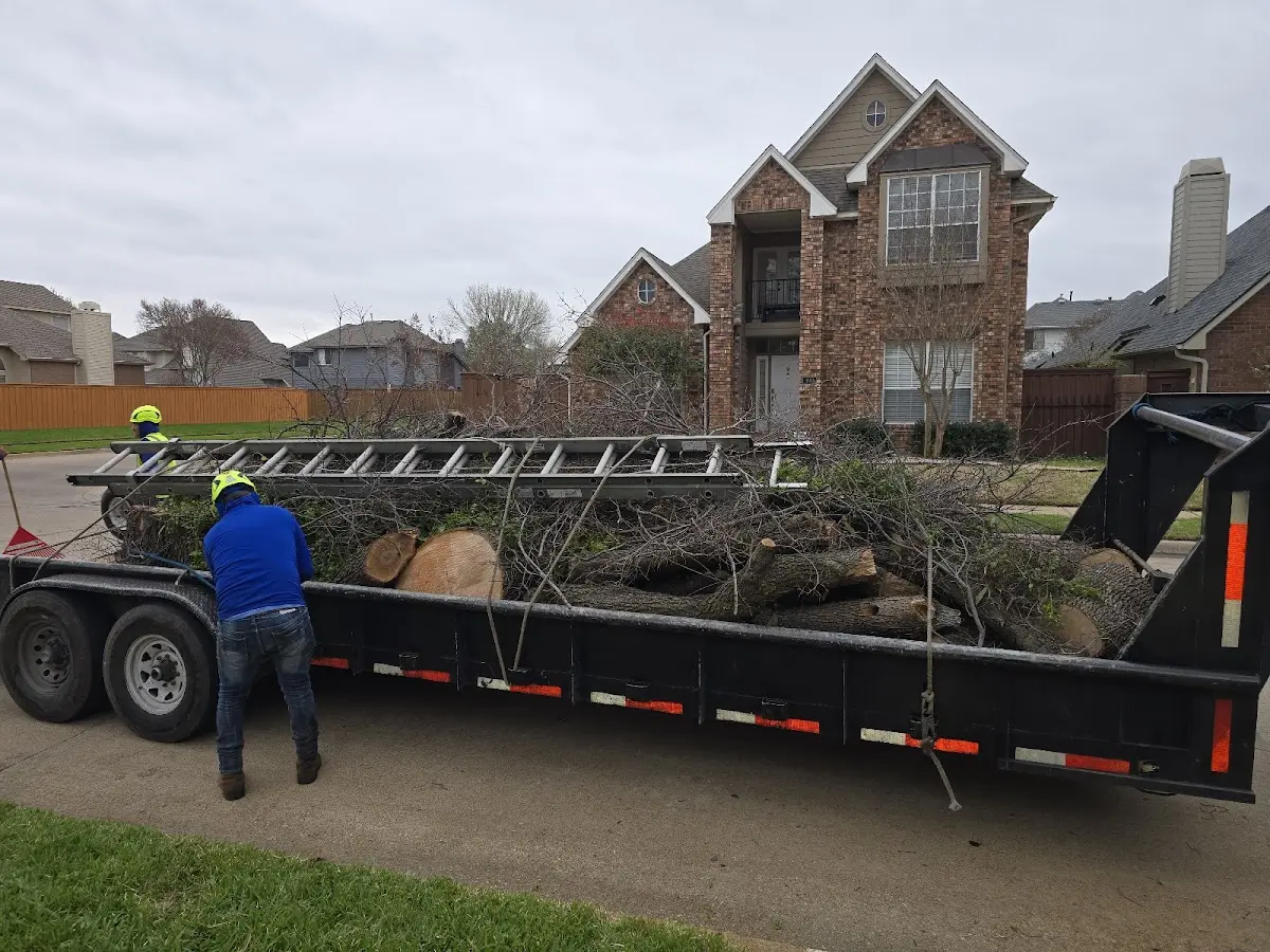 Expert Tree Fertilization with proper safety equipment in Leeds